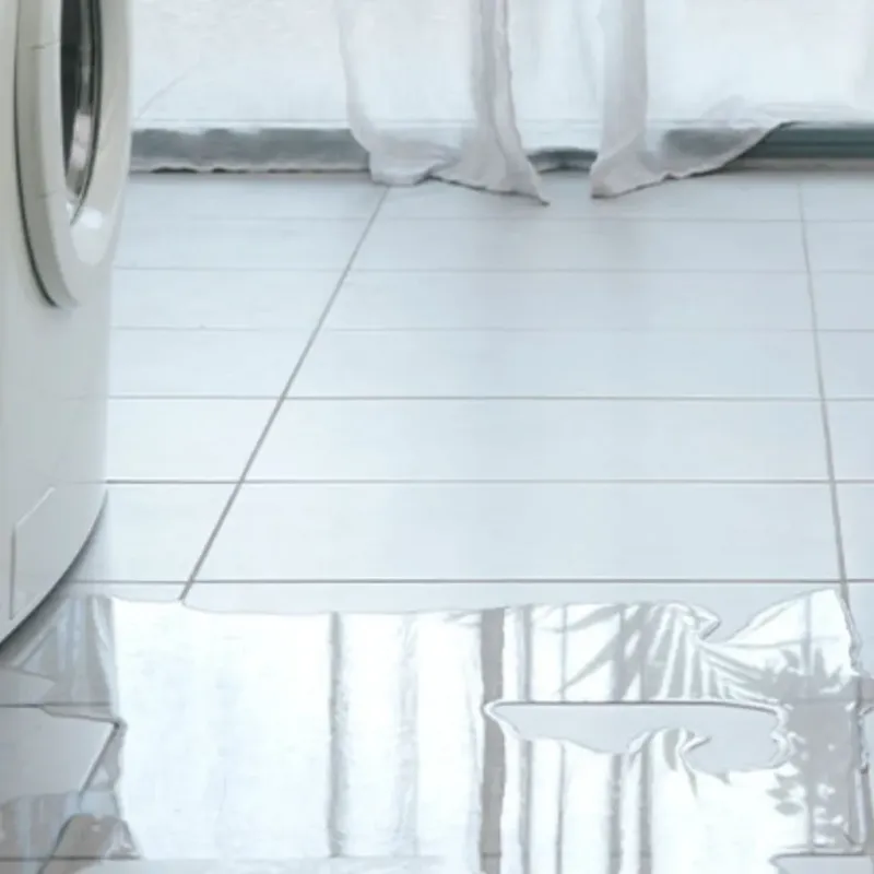 Appliance Leak Cleanup in Simmesport, LA