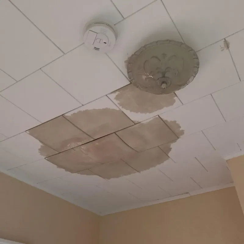 Ceiling Water Damage Repair in Simmesport, LA